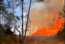 Fuego forestal afecta zona montañosa de San José de las Matas
