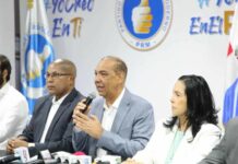 El PRM informa que realizó asambleas en 379 organismos partidarios