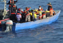 Detienen a 37 migrantes de RD y otros países