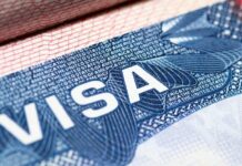 Cerca de 200 mil visas fueron revocadas en EE.UU.