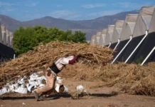 El Niño es una amenaza para los trabajadores en América Latina