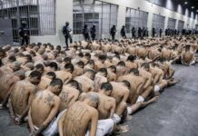 La cifra de muertes en cárceles de El Salvador aumenta a 554 bajo el régimen de excepción