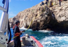 Rescatan 40 inmigrantes y dos cadáveres en aguas Puerto Rico