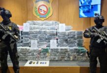 Dominicana incauta más de 269 mil kilos de drogas en seis años