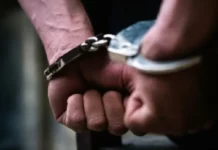 Dictan tres meses de prisión preventiva a dos hombres por presunta tala ilegal en Valle Nuevo