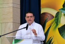 Las exportaciones agroindustriales dominicanas han crecido más de un 28 % desde 2019