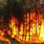 Advierten sobre emergencia por los incendios forestales en la RD