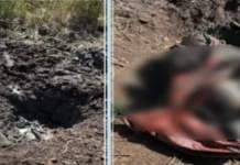 Policía investiga a apresado por microtráfico, vinculado a caso de joven hallado enterrado en Nagua