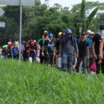Más de 6,500 migrantes regresan por Panamá rumbo al sur tras no llegar a EE. UU.