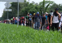 Más de 6,500 migrantes regresan por Panamá rumbo al sur tras no llegar a EE. UU.