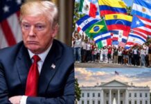 Economía, carestía y migración alejan votantes latinos de Trump