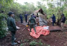 SENPA detiene a 23 haitianos y desmantela 15 casuchas en Sierra de Bahoruco