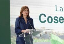 Gobierno reitera mantiene diálogo con EE. UU. sobre el arroz en el DR-Cafta