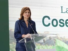 Gobierno reitera mantiene diálogo con EE. UU. sobre el arroz en el DR-Cafta