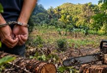 Imponen tres meses de prisión preventiva a hombre por acusar daños ambientales en Los Haitises