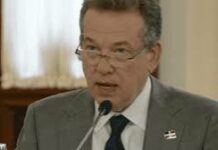 Canciller Ito Bisonó explica por qué RD no participa directamente en operaciones militares en Haití