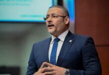 Senador Alexis Espiritusanto afirma que la frontera dominicana carece de seguridad