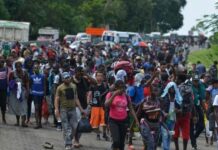Organización denuncia la muerte de 10 haitianos en operativos migratorios en República Dominicana